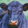 Aesthetic Aberdeen Angus Art Diamond Painting Art