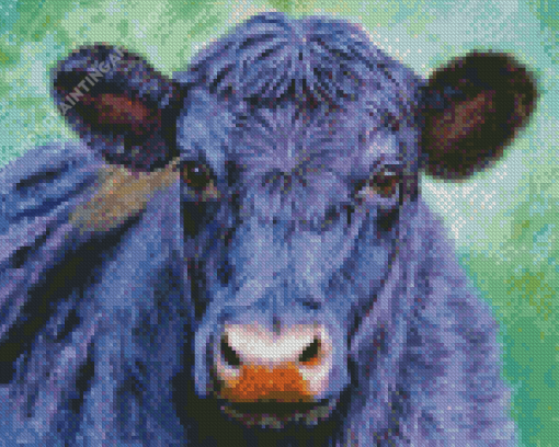 Aesthetic Aberdeen Angus Art Diamond Painting Art