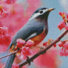 Aesthetic Bird And Pink Flowers Diamond Painting Art