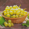 Aesthetic Grape Fruit Diamond Painting Art