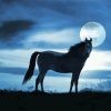 Alone Horse At Night Diamond Painting Art