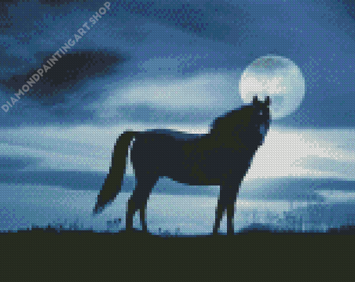 Alone Horse At Night Diamond Painting Art