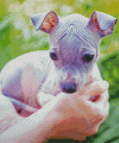 American Hairless Terrier Puppy Diamond Painting Art