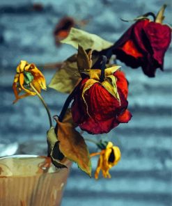 Dying Roses In Vase Diamond Painting Art