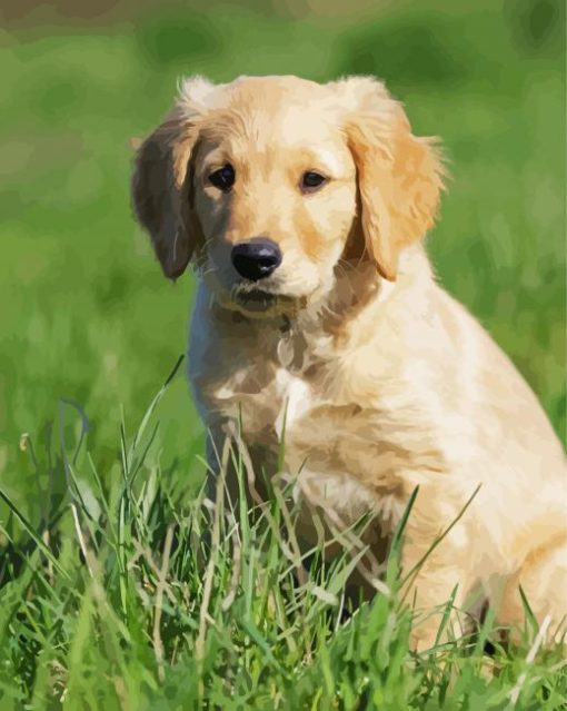 Golden Puppy On Grass Diamond Painting Art