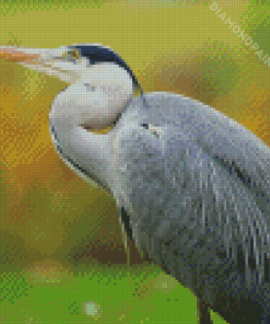 Grey Heron Bird Animal Diamond Painting Art