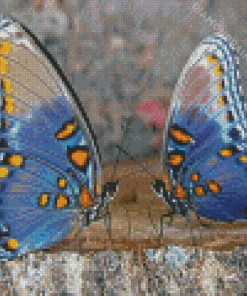 Monarch Couple Butterfly Diamond Painting Art