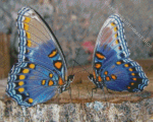 Monarch Couple Butterfly Diamond Painting Art