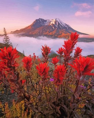 Mt St Helens With Red Poppies Diamond Painting Art