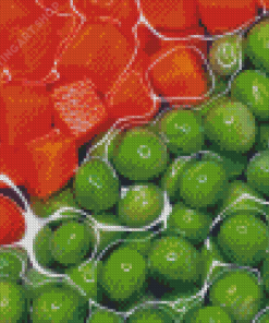 Orange And Green Vegetables Diamond Painting Art