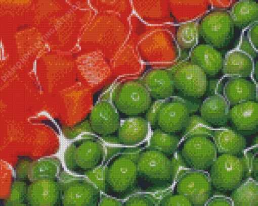 Orange And Green Vegetables Diamond Painting Art