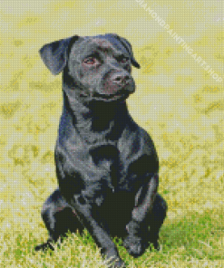Patterdale Terrier Animal Diamond Painting Art