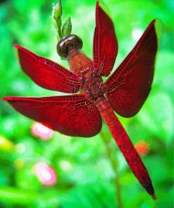 Red Dragonfly Diamond Painting Art