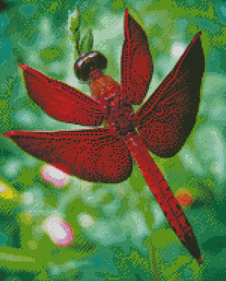 Red Dragonfly Diamond Painting Art