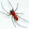 Red Spider Insect Diamond Painting Art