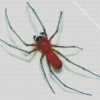 Red Spider Insect Diamond Painting Art