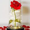 Rose In A Glass Diamond Painting Art