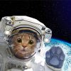 Space Cat Diamond Painting Art