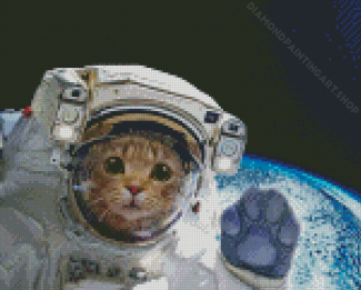 Space Cat Diamond Painting Art