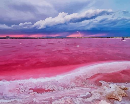 The Pink Lake Of Torrevieja Spain Diamond Painting Art