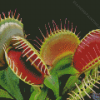 Venus Flytrap Plant Diamond Painting Art