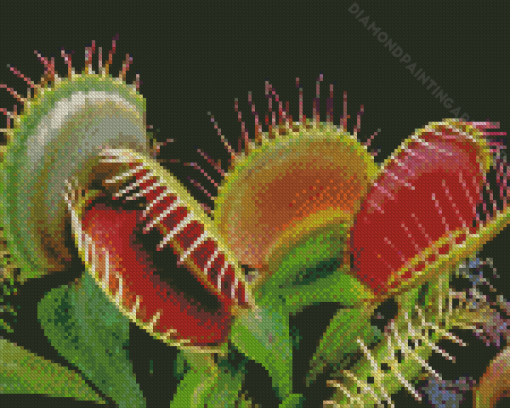 Venus Flytrap Plant Diamond Painting Art