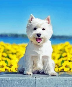 White Highland Terrier Pet Diamond Painting Art