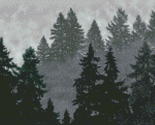 Aesthetic Foggy Forest Trees Diamond Painting Art