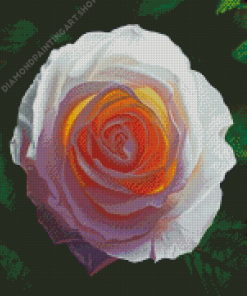 Aesthetic White Rose Diamond Painting Art