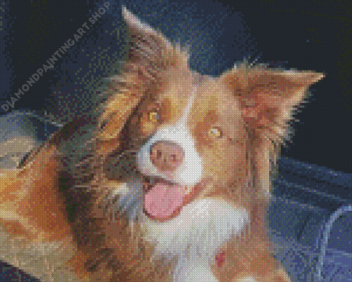 Aesthetic Brown Border Collie Diamond Painting Art