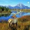 Aesthetic Deer By The River Diamond Painting Art