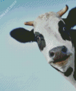 Black And White Cows Smiling Diamond Painting Art