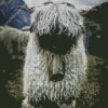 Blacknose Sheep Diamond Painting Art