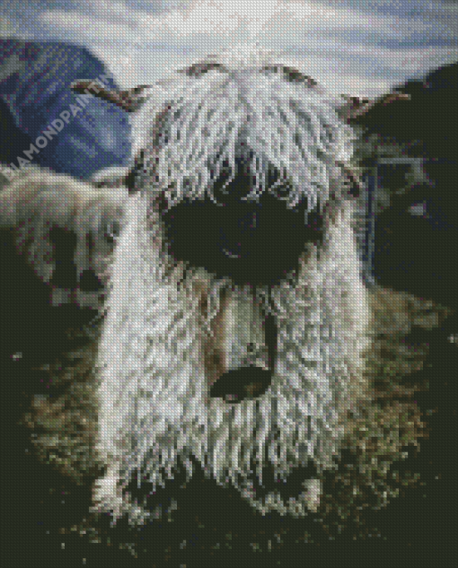 Blacknose Sheep Diamond Painting Art