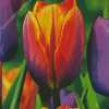 Close Up Orange And Purple Tulips Diamond Painting Art