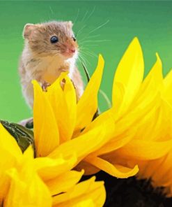 Cute Sunflower With Mouse Diamond Painting Art