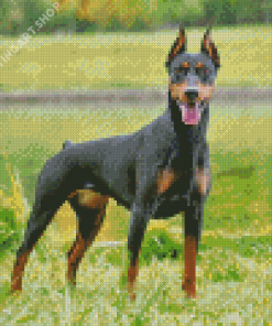 Doberman Pinscher Dog Diamond Painting Art