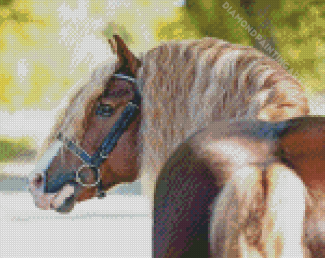Forest Horse Side Face Diamond Painting Art