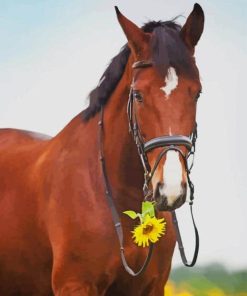 horse-with-sunflowers-diamond-dotz