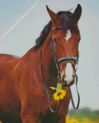 Horse With Sunflowers Diamond Painting Art