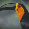 Toucan Bird Portrait Diamond Painting Art