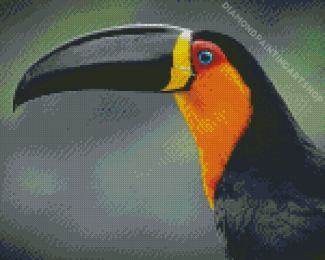 Toucan Bird Portrait Diamond Painting Art