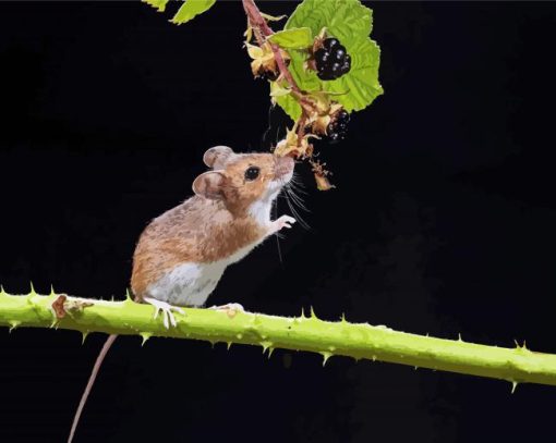 Tree Mouse Diamond Painting Art