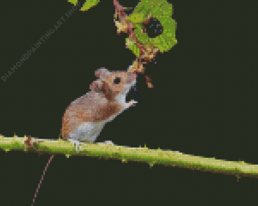 Tree Mouse Diamond Painting Art