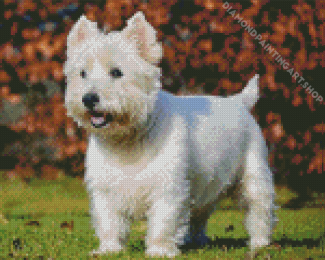 West Highland Terrier Dog Diamond Painting Art