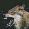 Angry Wolf Animal Diamond Painting Art