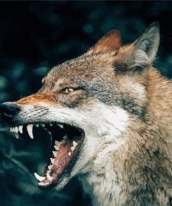 Angry Wolf Animal Diamond Painting Art