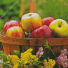 Apple Basket Fruit Diamond Painting Art