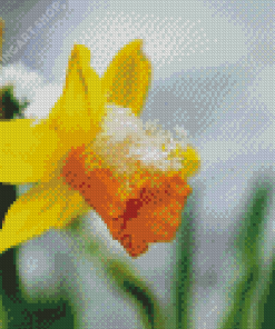 Beautiful Spring Flower In Snow Diamond Painting Art