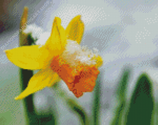 Beautiful Spring Flower In Snow Diamond Painting Art